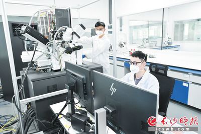 巴斯夫杉杉 技術研發驅動，打造全球領先的電池正極材料供應商