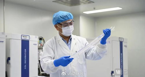國產(chǎn)生物型人工血管獲創(chuàng)新通道認(rèn)可，心血管治療迎來新突破